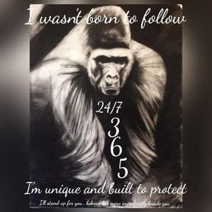 Meet your Posher, Troy